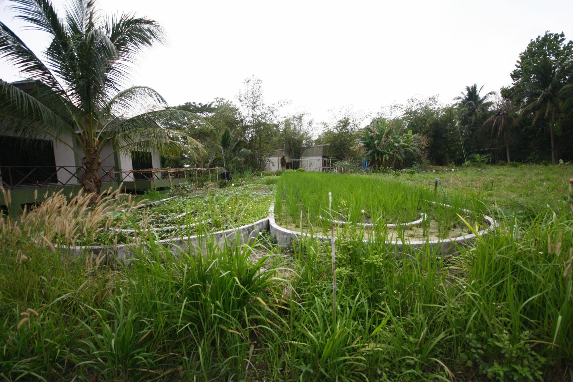 Long Lake Resort Chonburi Buitenkant foto