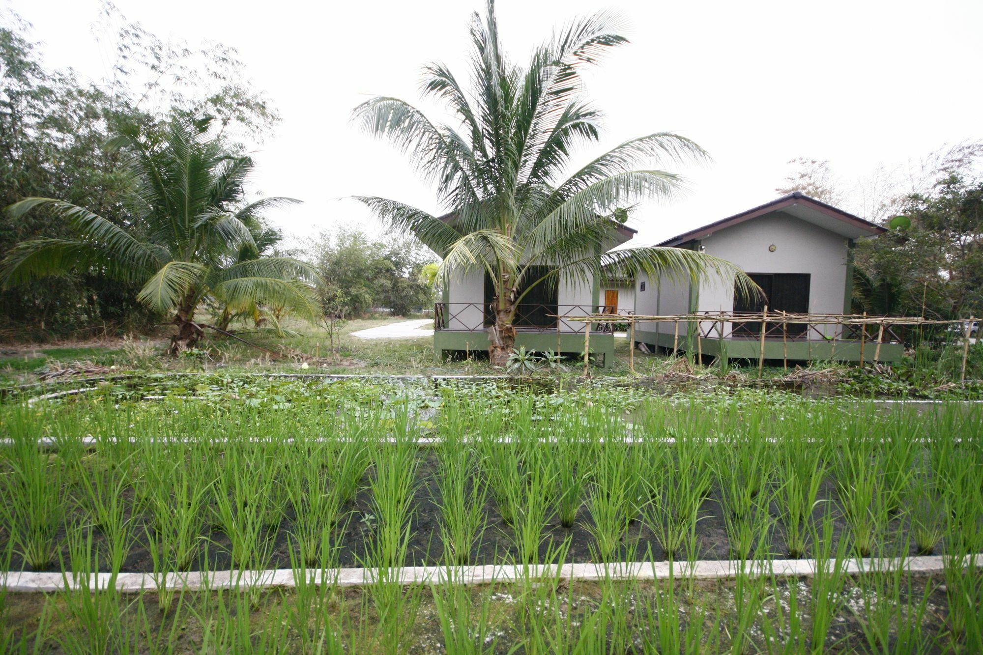 Long Lake Resort Chonburi Buitenkant foto